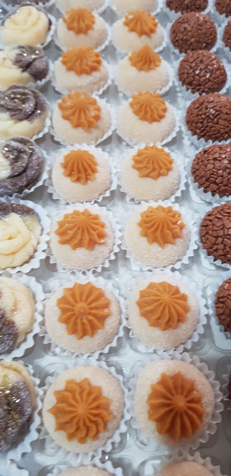 WhatsApp Image 2024-09-25 at 19.27.28 (1)